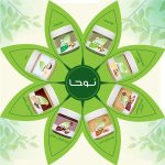 محصولات نوحا
