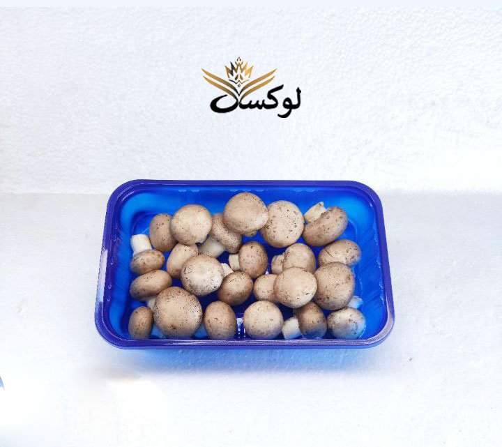 خرید قارچ دکمه‌ای قهوه‌ای 400 گرمی