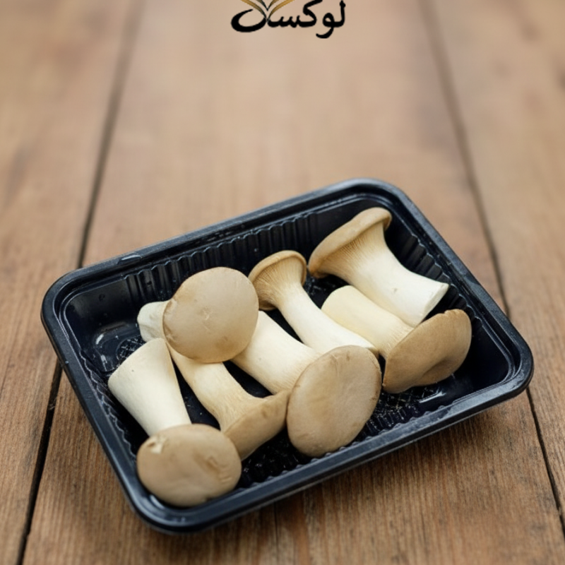 خرید قارچ شاه صدفی تازه با کیفیت عالی و طعم طبیعی