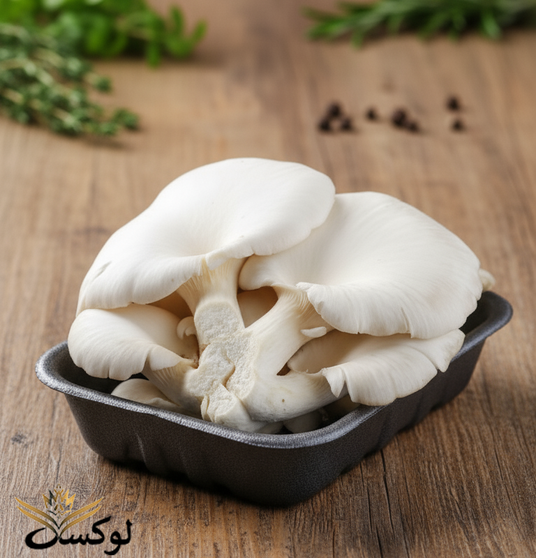 تصویر قارچ صدفی تازه با کیفیت بالا و ارگانیک