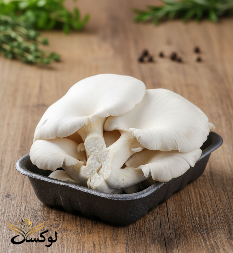 تصویر قارچ صدفی تازه با کیفیت بالا و ارگانیک