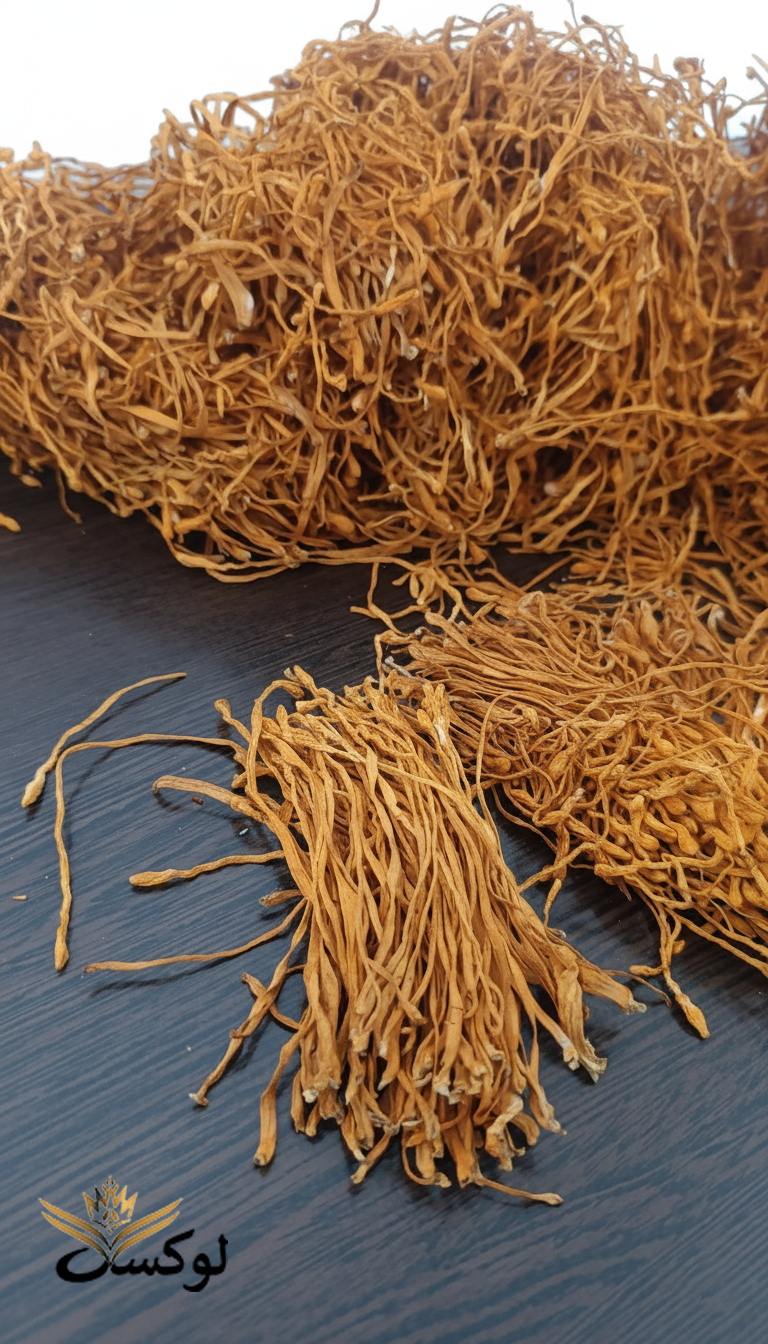 قارچ کوردیسپس قارچ کوردیسپس اصل دارویی