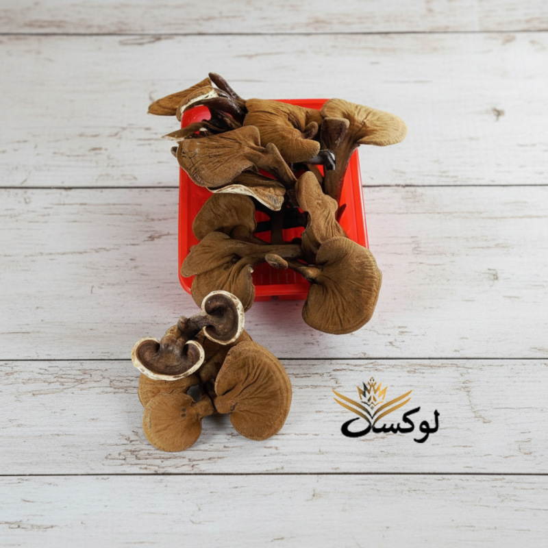 قارچ گانودرما خشک دارویی اصل