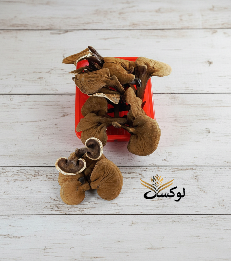 قارچ گانودرما خشک دارویی اصل