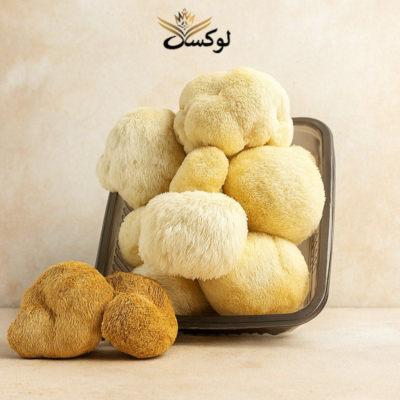 قارچ یال شیر تازه خوراکی و دارویی