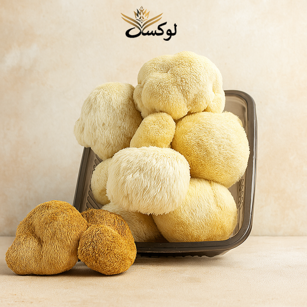قارچ یال شیر تازه خوراکی و دارویی